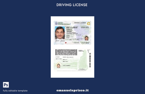 verified style modello presente di patente di guida USA New Hampshire in stile verificato template